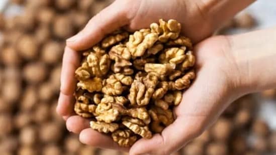Los ácidos esenciales que se encuentran en las nueces, las semillas de mostaza y la soja son muy saludables para el crecimiento y la salud del cabello.  (desinstalar)