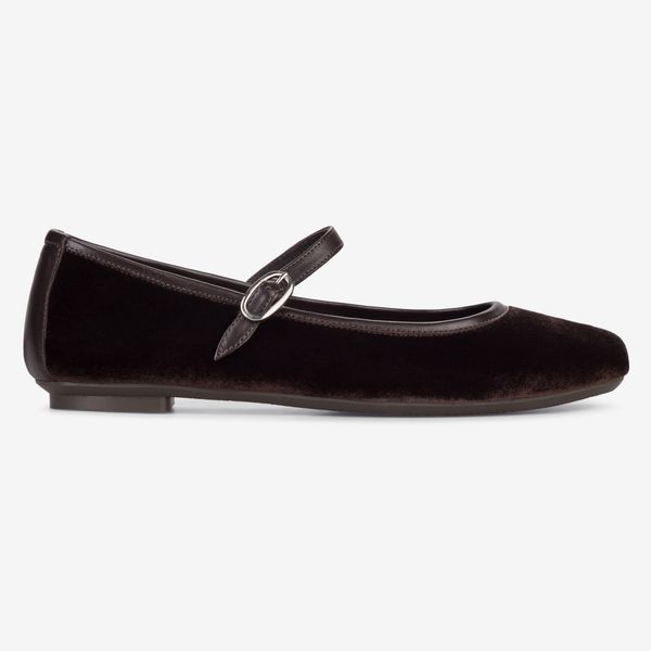 Zapatos de terciopelo Honoree de Hai x Reqins en marrón oscuro