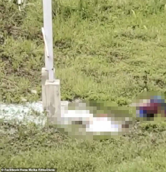 Un turista murió trágicamente después de que un cristal se rompiera cuando 11 personas cruzaban el miércoles 25 de octubre.