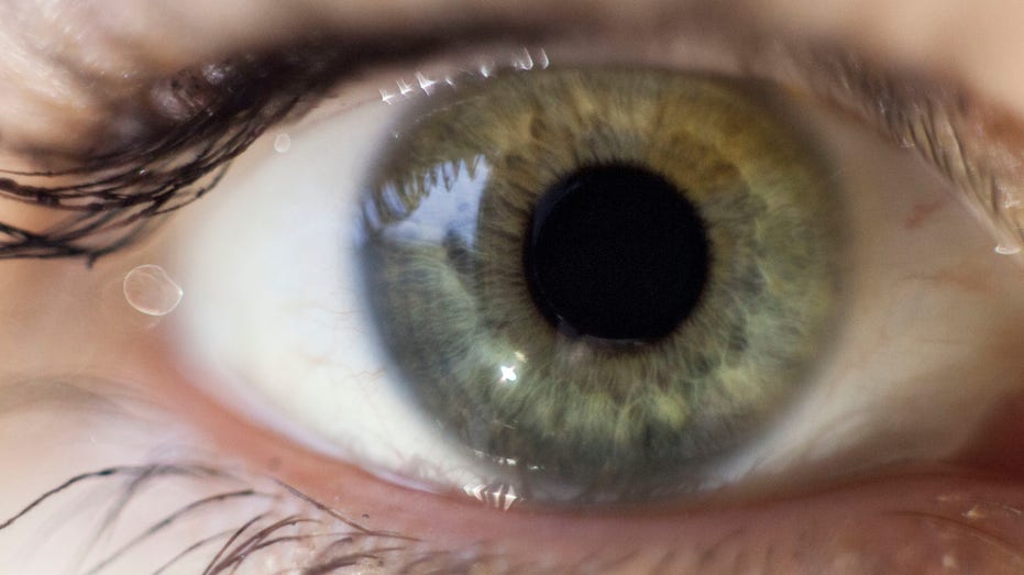 el ojo humano