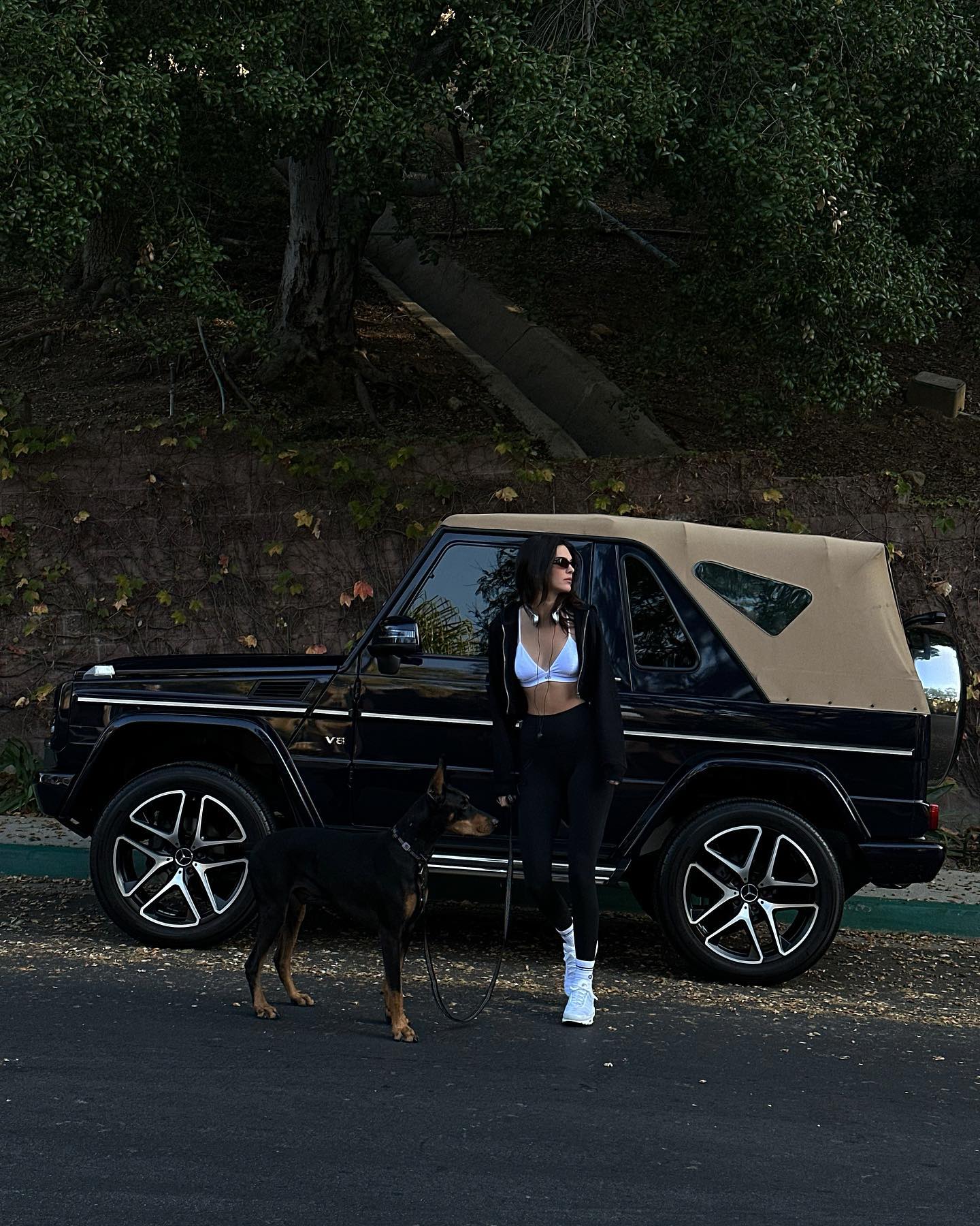 Kendall también fue fotografiada paseando a su perro, Pyro.