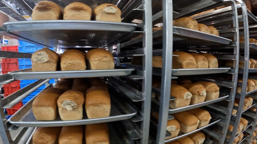 Los panes recién horneados están en la tienda antes de ser empaquetados. 