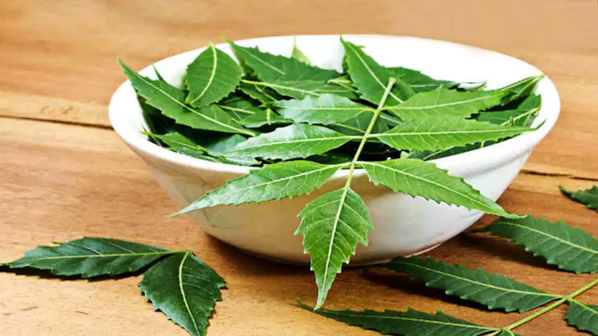 Beneficios de las hojas de neem para la salud.