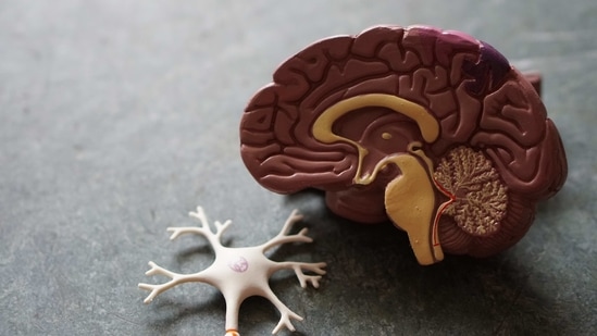 Los padres de Alzheimer pueden poner un gran riesgo. (No abre nada)