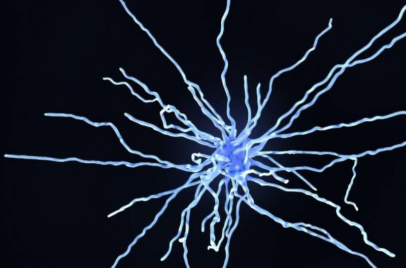 La nueva educación revela un creciente desarrollo cerebral en Alzheimer's