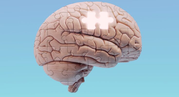 an illustration of a human brain overlaid with puzzle shapes, with one puzzle piece missing