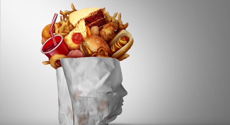 Review: The consequences of ultra-processed foods on brain development during prenatal, adolescent and adult stages. Image Credit: Lightspring / Shutterstock