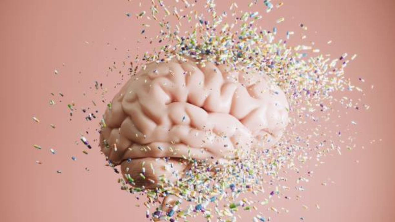 cerebro