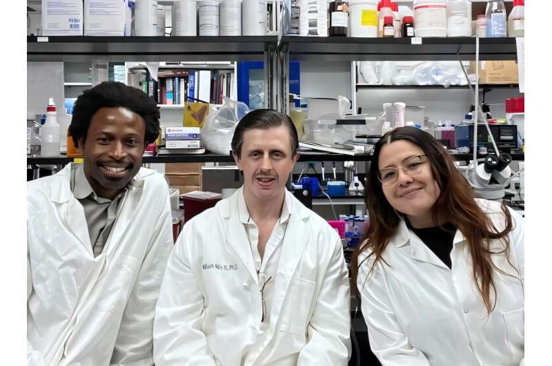 El descubrimiento puede obligar a Alzheimer levantando la sangre que fluye en el cerebro