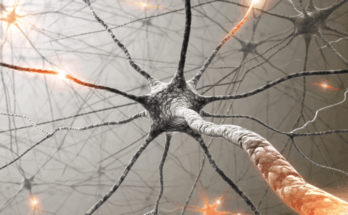 Memories Drift Across Neurons Over Time