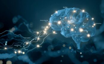 Neuroscience News logo for mobile.