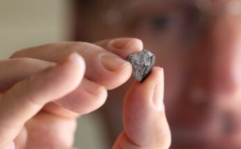 A man wearing glasses is pictured holding a small stony meteorite between his thumb and pointer finger.