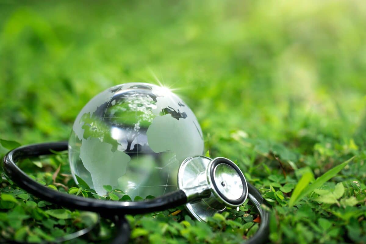 El escenario envuelto en todo el mundo está brillando en la hierba, mostrando una vida en el mundo verde.