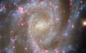 A face-on spiral galaxy. Its center glows bright yellow. The galaxy’s spiral arms contain sparkling blue stars, pink spots of star formation, and dark threads of dust that follow the arms.