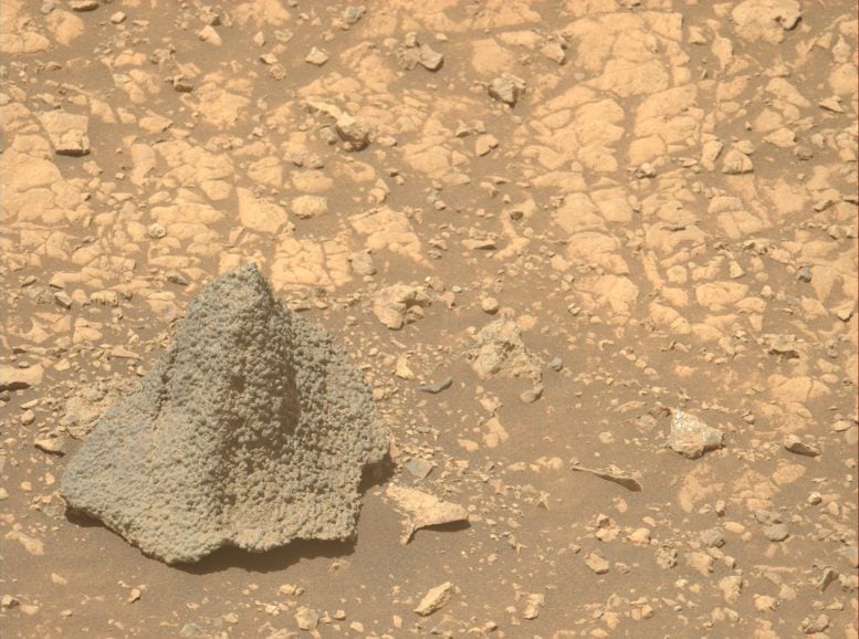 Marte Marte Persevasa Helmet Rock