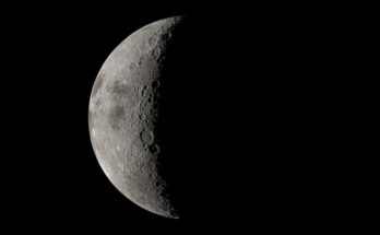A large sphere is prominent in the center of the image. It is pockmarked with indentations and is generally grey, with patches of dark.