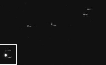 several white orbs on a black background