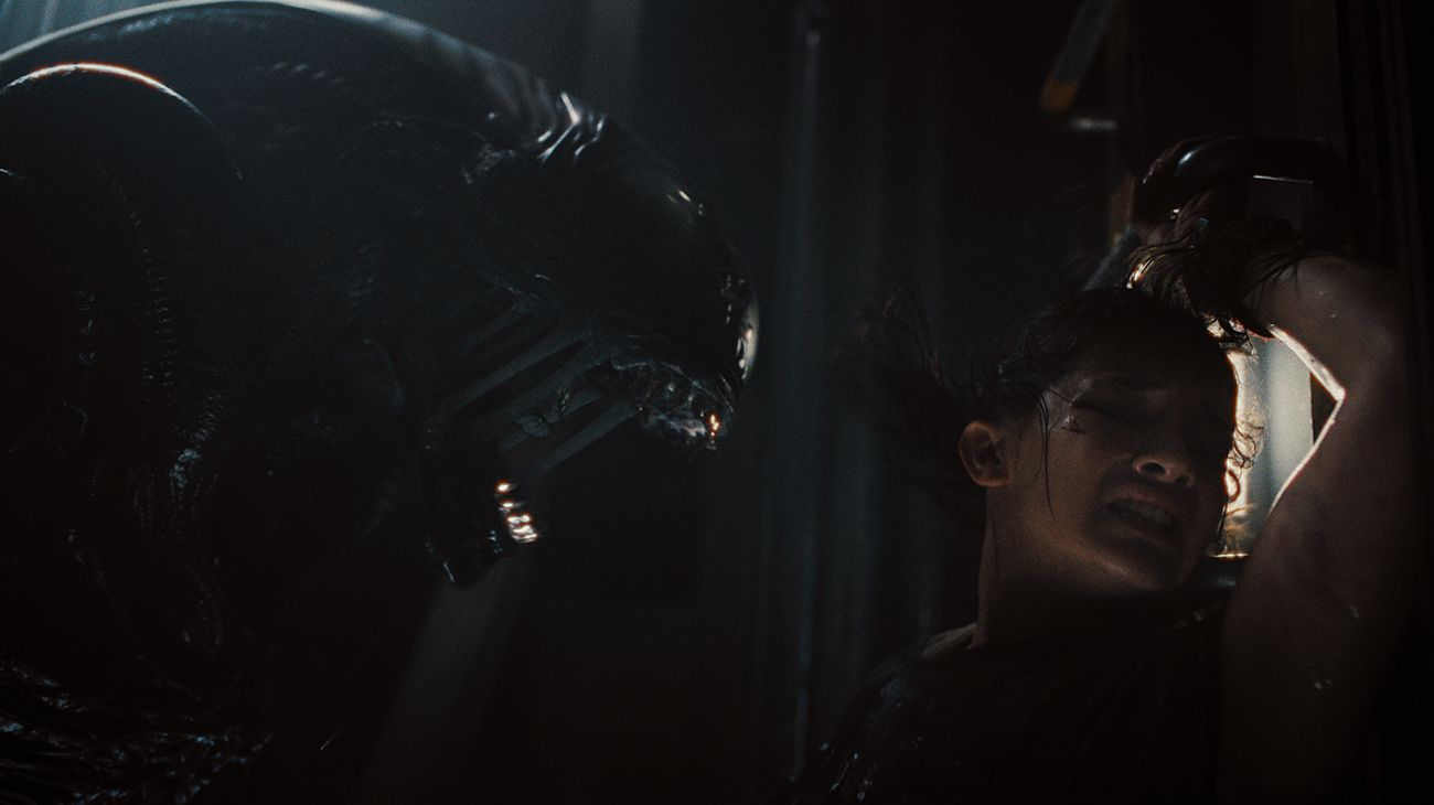 Xenomorph se prepara para matar a una persona asustada: el campo.