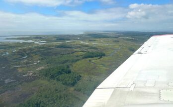 The image shows an aerial view of the Chesapeake Bay, with groves of trees, rivers, a body of water in the distance, and green land. The horizon, a third of the way down the image, separates the blue cloudy sky from the land. On the right of the image is a white wing of a plane.