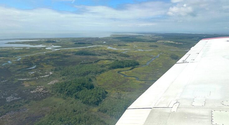 The image shows an aerial view of the Chesapeake Bay, with groves of trees, rivers, a body of water in the distance, and green land. The horizon, a third of the way down the image, separates the blue cloudy sky from the land. On the right of the image is a white wing of a plane.