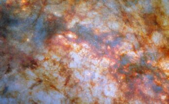 A close-in view of the center of galaxy M82. Bright, bluish light radiating from the center is due to stars actively forming there. A thick lane of gas, black in the center and red around the edges, crosses the center and blocks much of the light. Thinner strands and clumps of reddish dust cover much of the rest of the view.