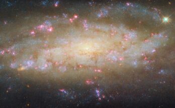 A spiral galaxy. It shines brightly at its center, and most of its disk also glows in warm colors. Its two spiral arms, which wind outward from the center, are made up mostly of large patches of bright blue specks. They also contain thin, reddish clouds of dust, and bright pink bubbles of glowing gas, where stars are forming. Distant galaxies are visible around the galaxy as small orange spots, on a dark background.