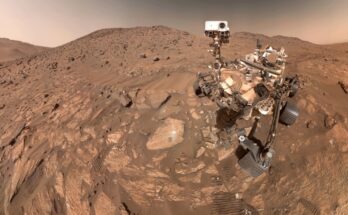 Mars perseverance rover signs of life