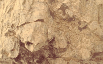 Nasa Rover Snaps Photo Of 'turtle' On Mars — And It’s Too Real To Ignore