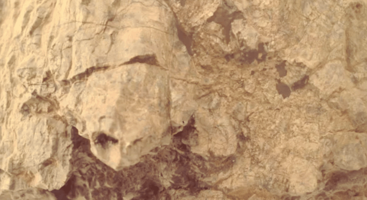 Nasa Rover Snaps Photo Of 'turtle' On Mars — And It’s Too Real To Ignore
