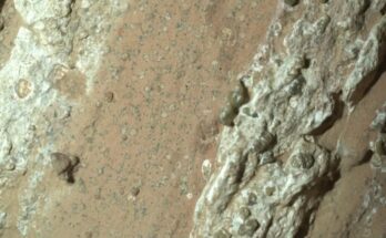 A closeup of "leopard spots" on Mars seen by the Perseverance rover.