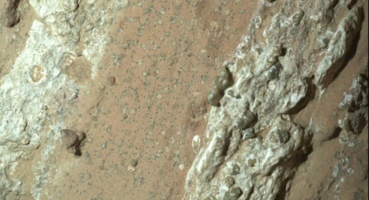A closeup of "leopard spots" on Mars seen by the Perseverance rover.