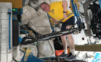NASA astronaut Mike Fincke works out on the International Space Station's advanced resistive exercise device that mimics free wights in Earth’s gravity and has the capability to work out all major muscle groups.