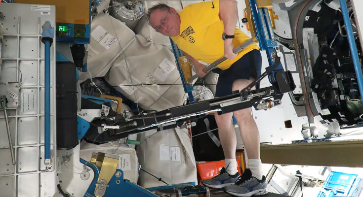 NASA astronaut Mike Fincke works out on the International Space Station's advanced resistive exercise device that mimics free wights in Earth’s gravity and has the capability to work out all major muscle groups.