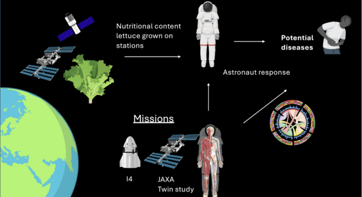 Diagram illustrating research on lettuce grown in space stations and its effects on astronaut health. Lettuce nutritional content is linked to astronaut diet, potential diseases, and astronaut biological response. Missions including I4, JAXA, and NASA’s Twin Study are shown, with graphics of spacecraft, astronauts, the ISS, and biological diagrams.