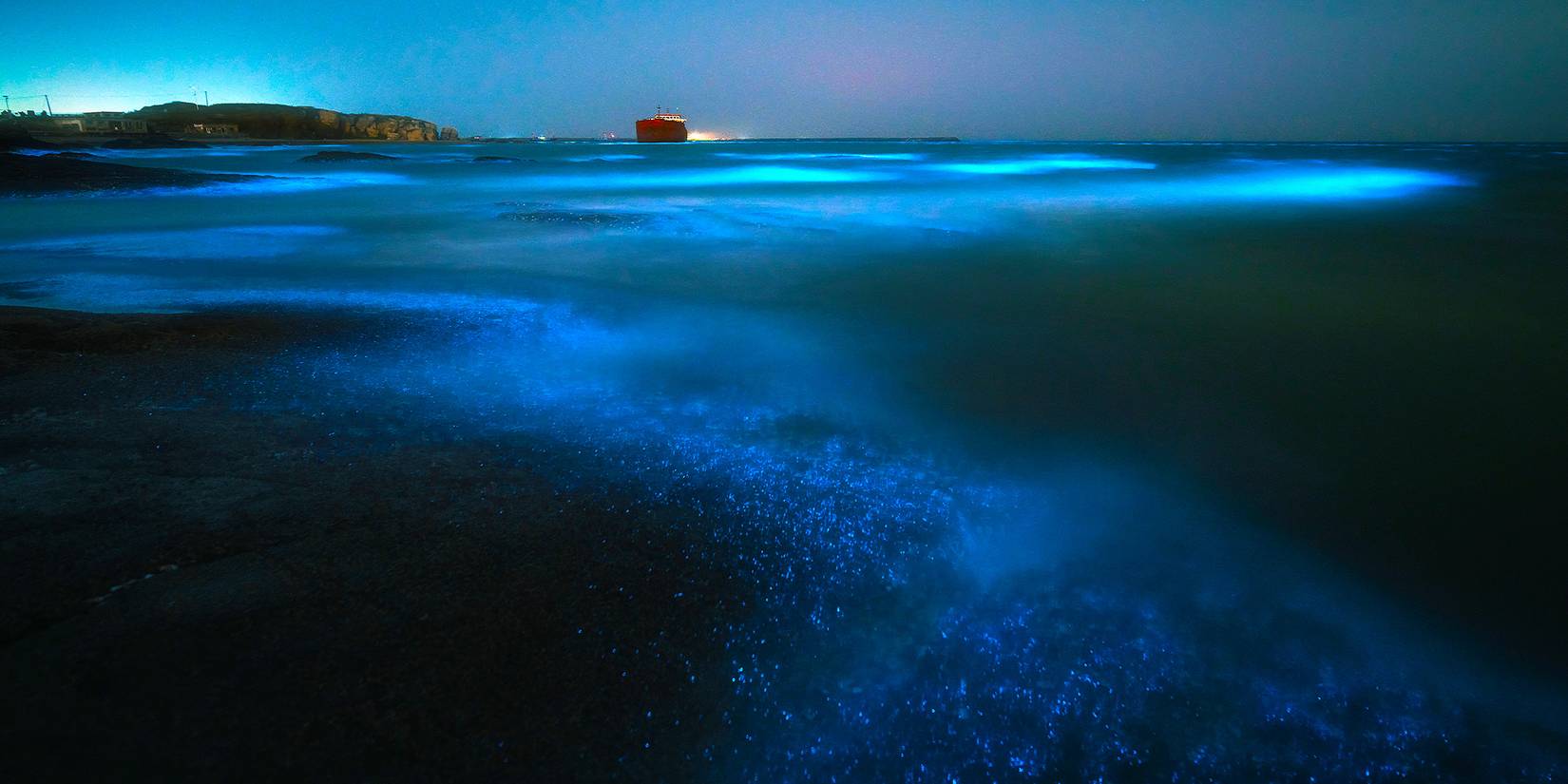 Imagen de mar con un bote rojo con un césped en la oscuridad y bioluminiscente en agua