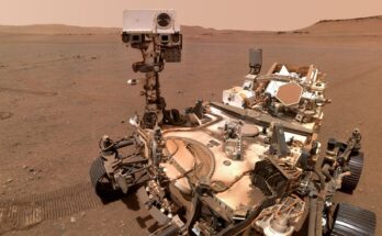 Life on Mars-NASA rover finds rock that shows possible presence of life on Martian planet