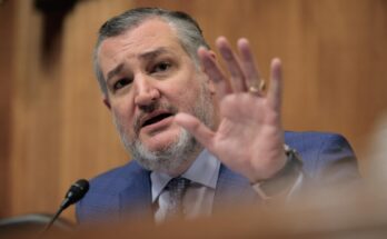 Sen. Ted Cruz holds up a hand and speaks while presiding over a Senate subcommittee hearing.