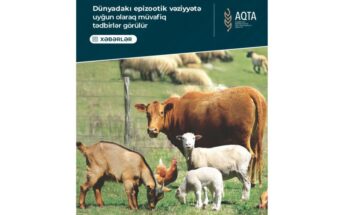 Temporary import restrictions imposed from certain areas amid animal and avian diseases