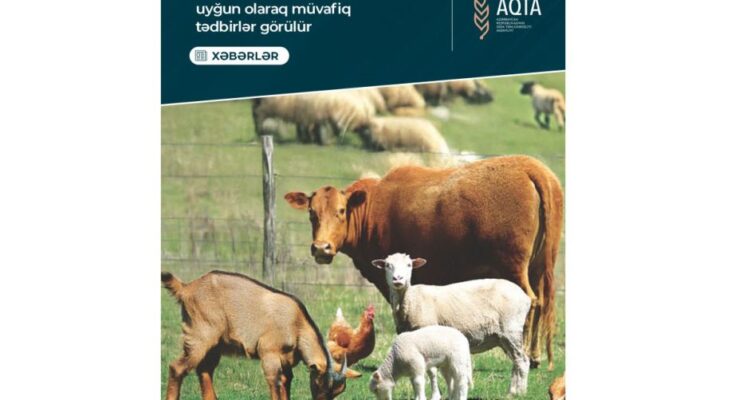 Temporary import restrictions imposed from certain areas amid animal and avian diseases