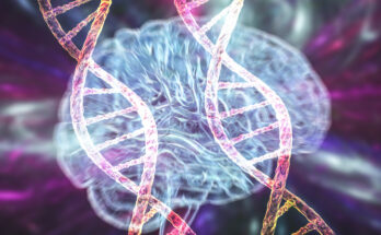 Genetic brain disorders, conceptual illustration