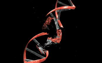 Conceptual illustration to show DNA damage. DNA string against black with clipping path.