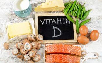 Foods naturally rich in vitamin D, including salmon, eggs, dairy products, mushrooms, and fortified milk. (Adobe Stock Photo)