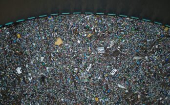 Plastic Can Now Help Spread Diseases