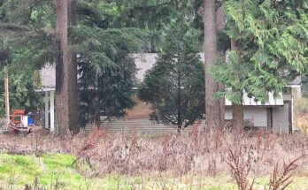 Owners of this unoccupied house in the 19900-block of 30 Ave. in Brookswood said squatters caused a fire Saturday morning. (Dan Ferguson/Langley Advance Times)