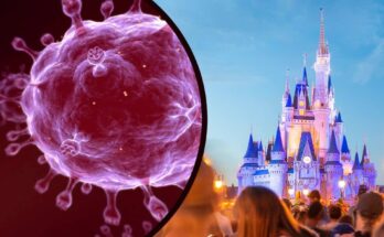 A sexually trasmitted disease floating near the Walt Disney World Cinderella Castle as guests watch on.