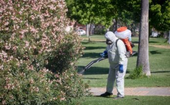 A park being fumigated against mosquitoes in Coria del Rio in Seville, Spain