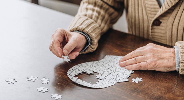Cropped view of an elderly individual working on a puzzle shaped like a human head.