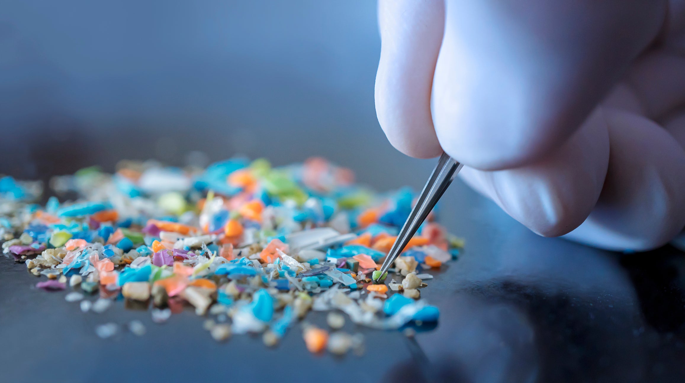Los microplásticos se pueden encontrar en alimentos procesados, tabers sintéticos y polvo.