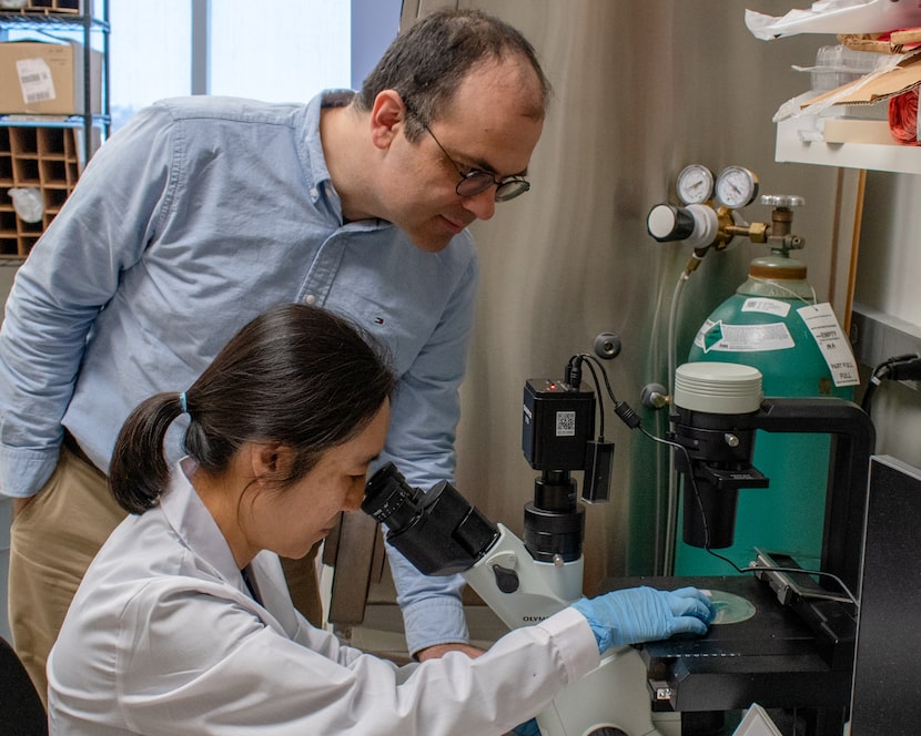 El científico investigador Ji Hyung Jun (derecha) y el profesor asistente Michalis Agathocleous (izquierda)...