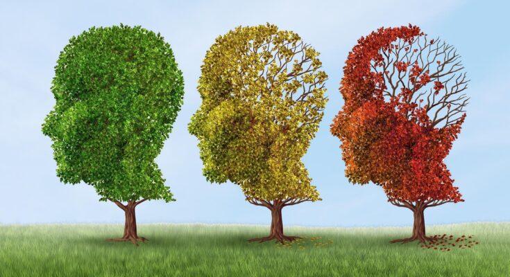 Dementia Alzheimer